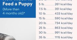 Feeding-Dog