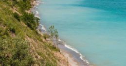 Shoreline