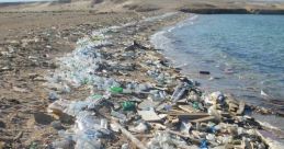 Snatching-Plastic