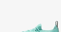 Shoe