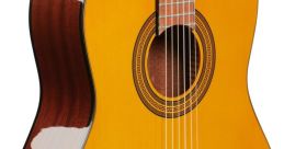 Nylon-Guitar