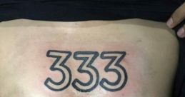333