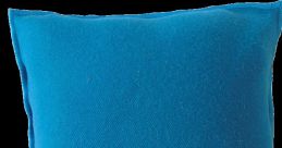 Cushion