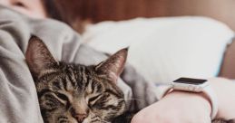 Cat-Purring