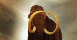 Wollymammoth