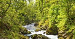 Mountain-Stream