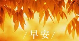 - 好