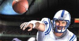 NFL Fever 2000 - Video Game