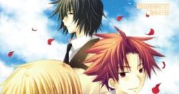 Hakarena Heart Hakarena Heart: Kimi ga Tame ni Kagayaki o はかれなはーと 君がために輝きを - Video Game