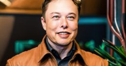 Elon Musk (Business Magnate, Investor, Public Figure)