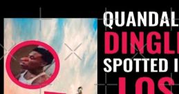 Quandale Dingle (Public Figure)