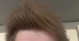 Drachenlord with a distinctive hairstyle, showcasing his unique look and personality in a casual setting.