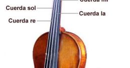 Violin (al)