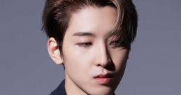 Wonwoo (Seventeen) (Kpop, SEVENTEEN)