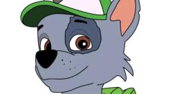 Rocky (PAW Patrol) (Cartoon, PAW Patrol)