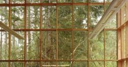 Forest Library The Forest S Library is a place of tranquility and serenity, where the of nature blend harmoniously with the