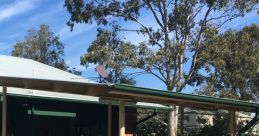 Creek Library