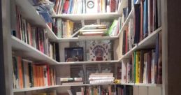 Washroom Library