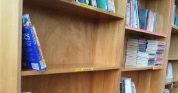 Empty Library