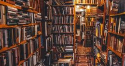 Cozy library corridor lined with books, warm lighting, and a vintage rug inviting readers to explore and discover.