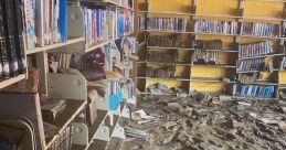 Flood Library