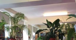 Cleaning Library