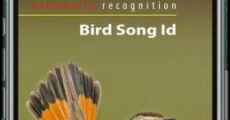 Birdsong Library