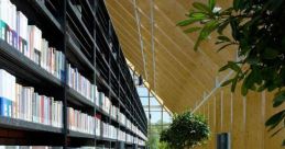 Mountain Library