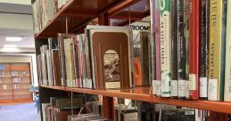 Palm Library