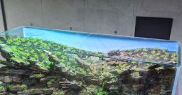 Aquarium Library