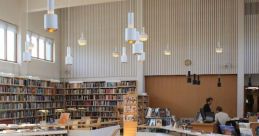 Iceland Library