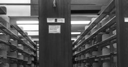 Destruction Library The cacophony of chaos filled the air as matter was sent into mayhem within the confines of the