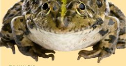 Frog Library