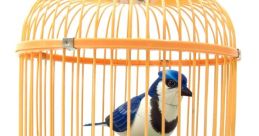 Bird chirps Library