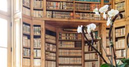 Mediterranean Library