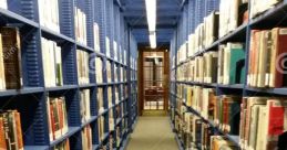 INT Library