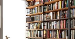 Bathrub Library