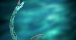 Water creature Library