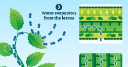 Water circulation Library