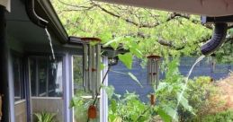 Rain water Library