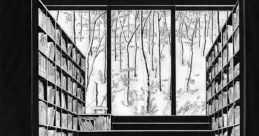 Medium perspective Library