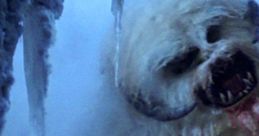 Chewbacca (Star Wars)