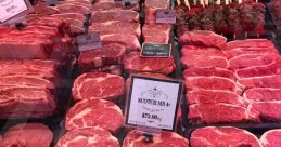 Meat Library