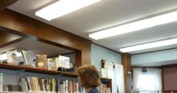 Flicker Library