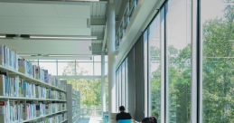 Sander Library