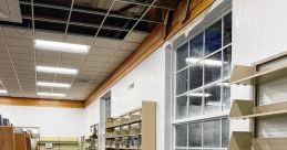 Bursts Library