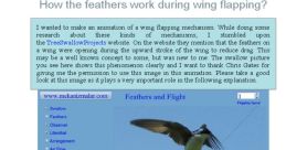 Flapping feathers Library
