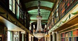 Shimmering Library