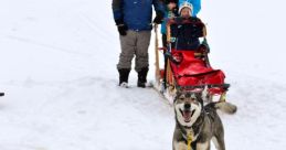 Dogsled Library