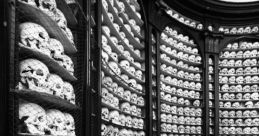 Skull Library